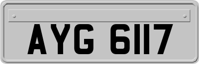 AYG6117