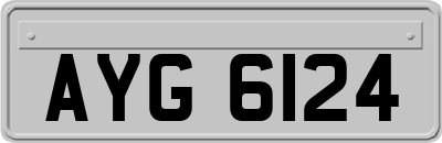 AYG6124