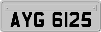 AYG6125