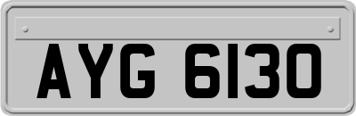 AYG6130