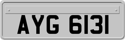 AYG6131