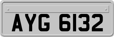 AYG6132