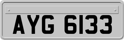 AYG6133