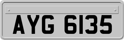 AYG6135