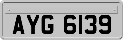 AYG6139