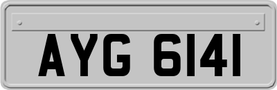 AYG6141