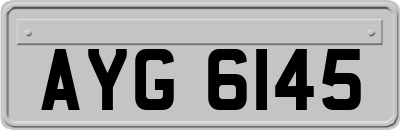 AYG6145