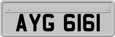 AYG6161