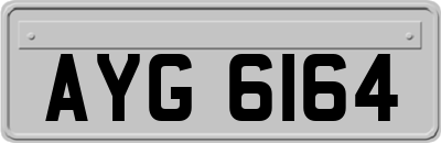 AYG6164