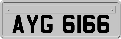 AYG6166