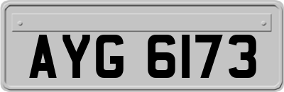 AYG6173