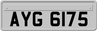 AYG6175