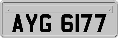 AYG6177