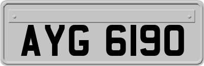 AYG6190