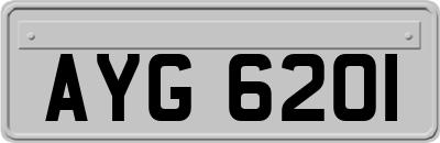 AYG6201
