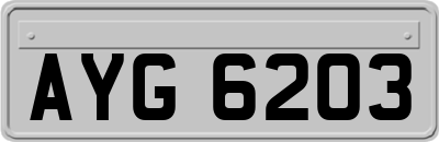 AYG6203