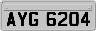 AYG6204