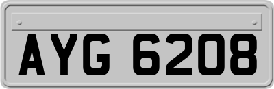 AYG6208