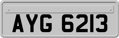 AYG6213
