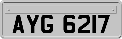 AYG6217