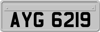 AYG6219