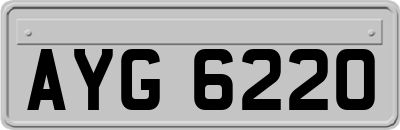 AYG6220