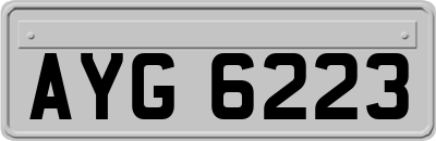 AYG6223