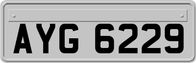 AYG6229