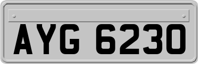 AYG6230