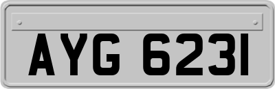 AYG6231