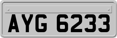 AYG6233