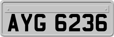 AYG6236
