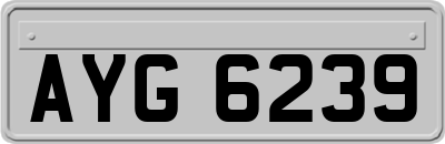 AYG6239