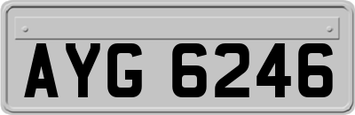 AYG6246