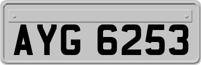 AYG6253