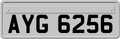 AYG6256