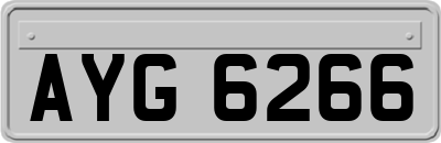 AYG6266