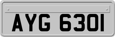 AYG6301