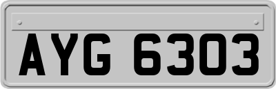 AYG6303