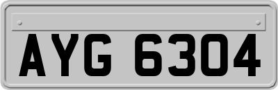 AYG6304