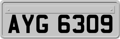 AYG6309