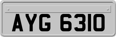 AYG6310