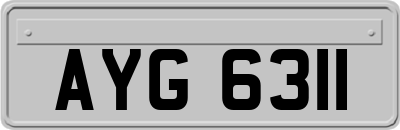 AYG6311