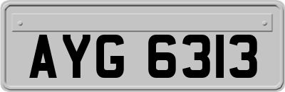 AYG6313
