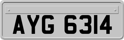 AYG6314
