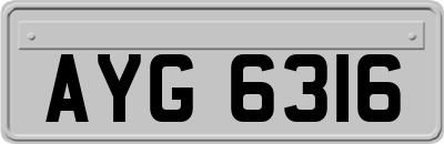AYG6316