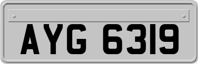 AYG6319