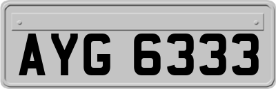 AYG6333