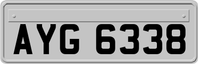 AYG6338