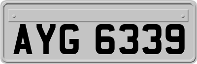 AYG6339